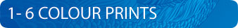 1 - 6 colopur prints silkscreen